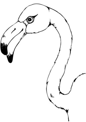 Flamingo Head Coloring Page